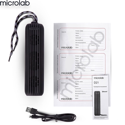 Loa Microlab D21 13
